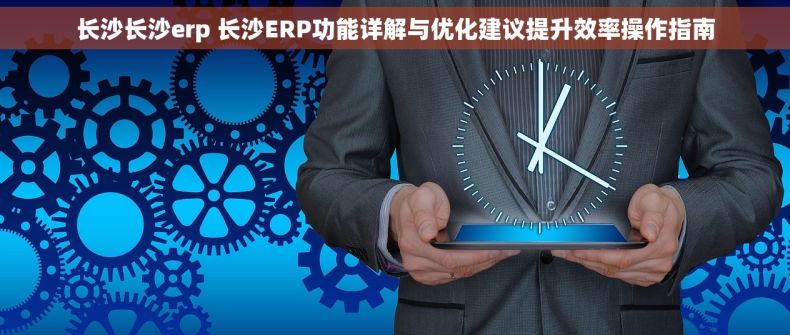 长沙长沙erp 长沙ERP功能详解与优化建议提升效率操作指南 长沙长沙erp 长沙ERP功能详解与优化建议提升效率操作指南