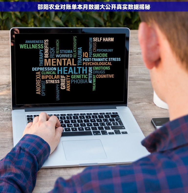 邵阳农业对账单本月数据大公开真实数据揭秘