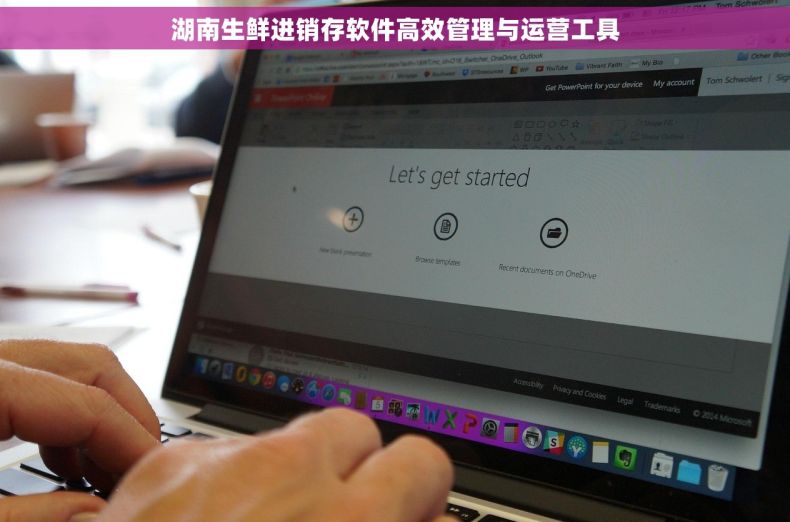 湖南生鲜进销存软件高效管理与运营工具