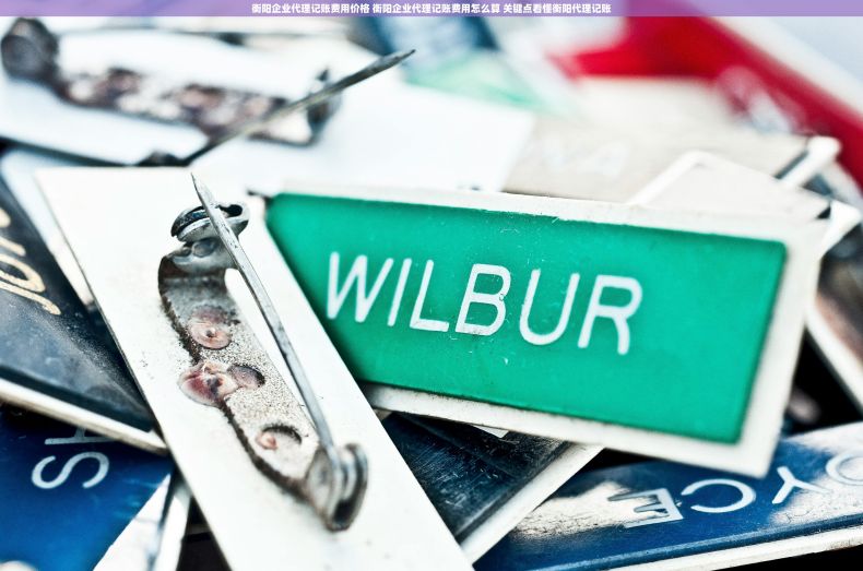 衡阳企业代理记账费用价格 衡阳企业代理记账费用怎么算 关键点看懂衡阳代理记账 衡阳企业代理记账费用价格 衡阳企业代理记账费用怎么算 关键点看懂衡阳代理记账