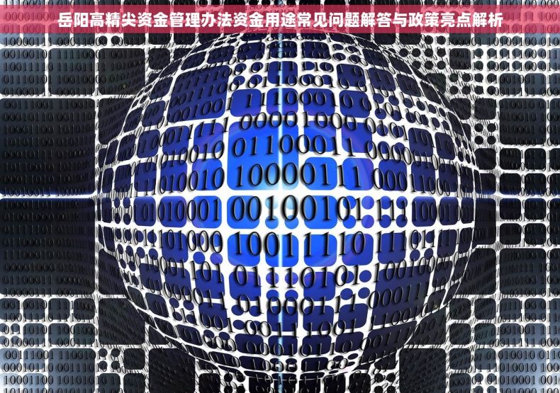 岳阳高精尖资金管理办法资金用途常见问题解答与政策亮点解析