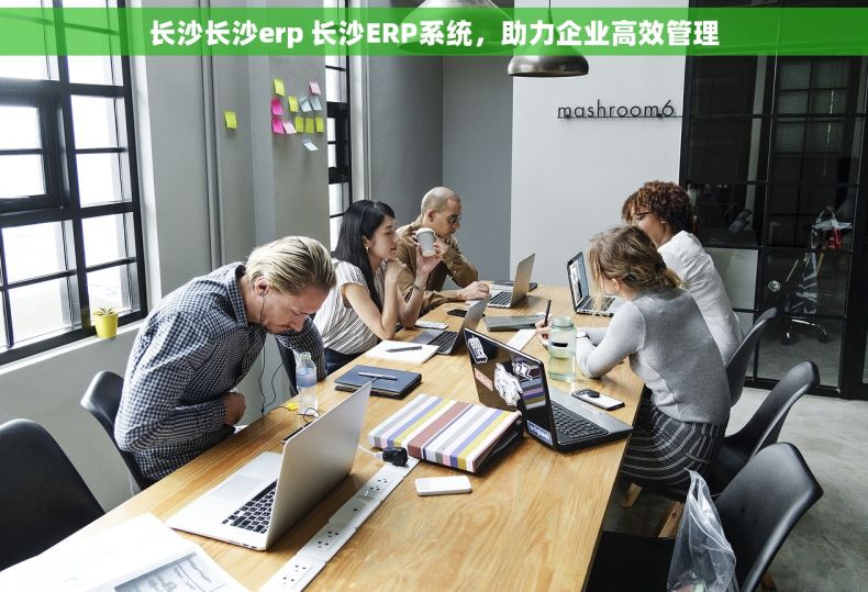 长沙长沙erp 长沙ERP系统，助力企业高效管理