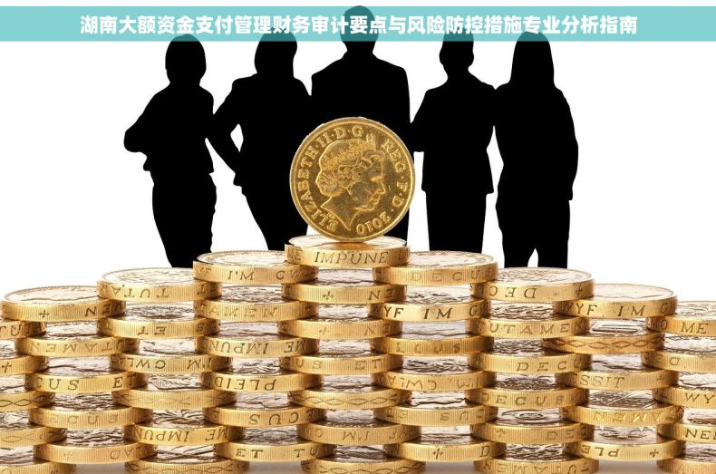 湖南大额资金支付管理财务审计要点与风险防控措施专业分析指南 湖南大额资金支付管理财务审计要点与风险防控措施专业分析指南