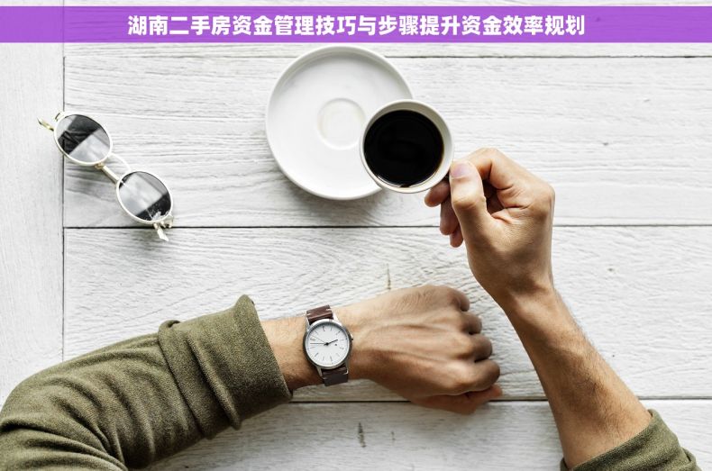 湖南二手房资金管理技巧与步骤提升资金效率规划 湖南二手房资金管理技巧与步骤提升资金效率规划