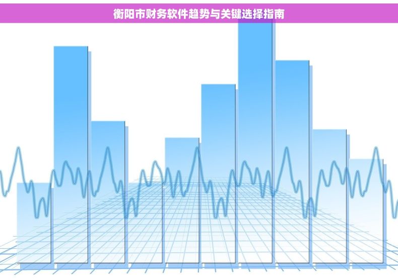 衡阳市财务软件趋势与关键选择指南