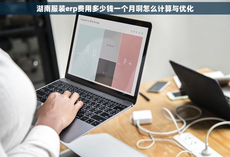 湖南服装erp费用多少钱一个月啊怎么计算与优化 湖南服装erp费用多少钱一个月啊怎么计算与优化