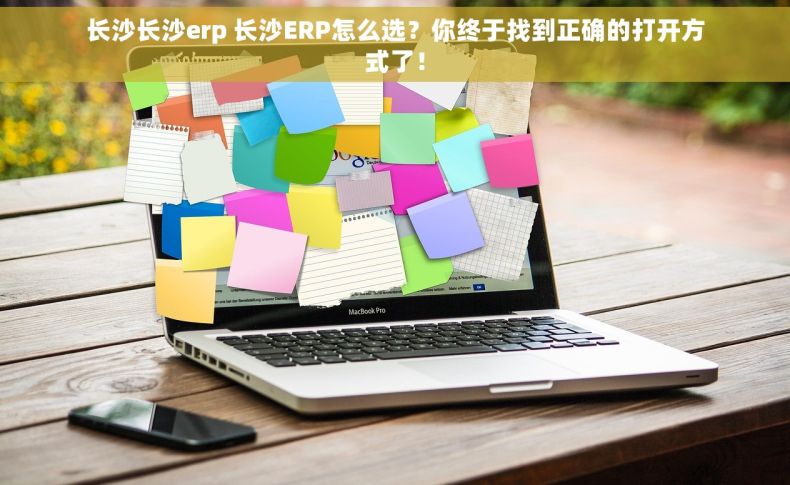 长沙长沙erp 长沙ERP怎么选？你终于找到正确的打开方式了！