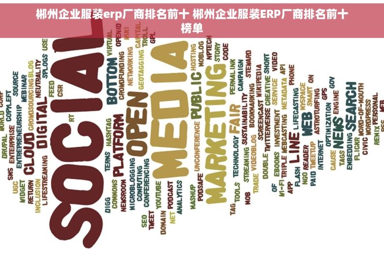 郴州企业服装erp厂商排名前十 郴州企业服装ERP厂商排名前十榜单 郴州企业服装erp厂商排名前十 郴州企业服装ERP厂商排名前十榜单
