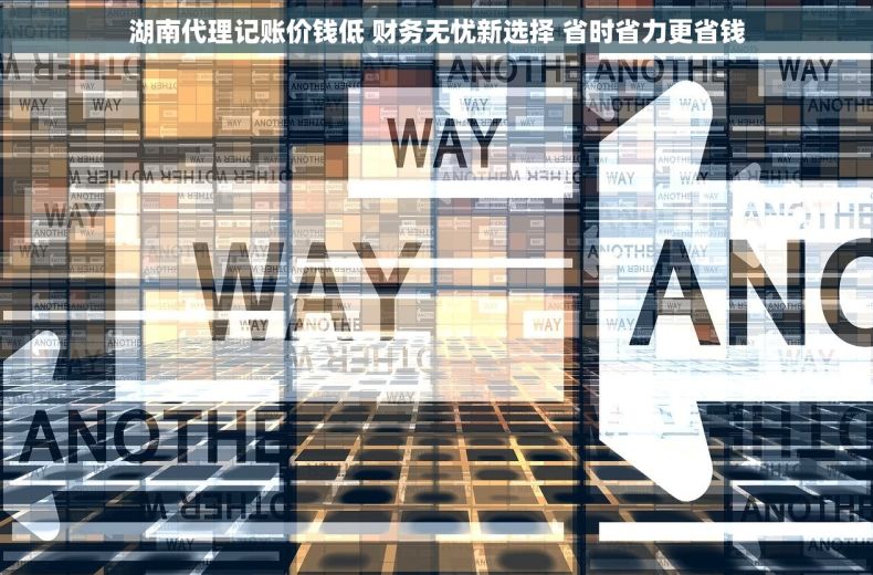 湖南代理记账价钱低 财务无忧新选择 省时省力更省钱