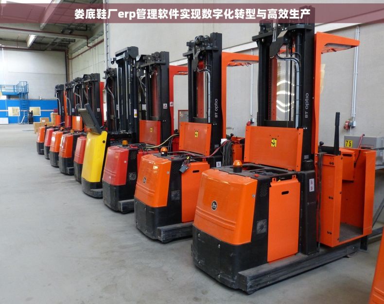 娄底鞋厂erp管理软件实现数字化转型与高效生产 娄底鞋厂erp管理软件实现数字化转型与高效生产
