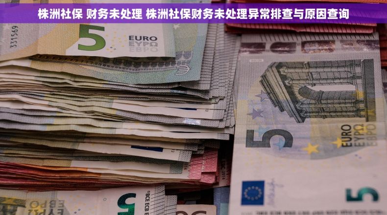 株洲社保 财务未处理 株洲社保财务未处理异常排查与原因查询 株洲社保 财务未处理 株洲社保财务未处理异常排查与原因查询