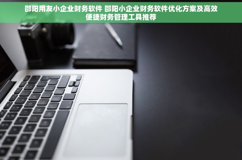 邵阳用友小企业财务软件 邵阳小企业财务软件优化方案及高效便捷财务管理工具推荐 邵阳用友小企业财务软件 邵阳小企业财务软件优化方案及高效便捷财务管理工具推荐