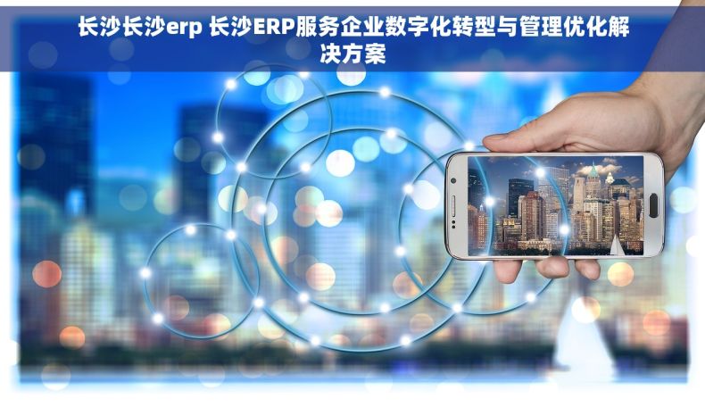 长沙长沙erp 长沙ERP服务企业数字化转型与管理优化解决方案