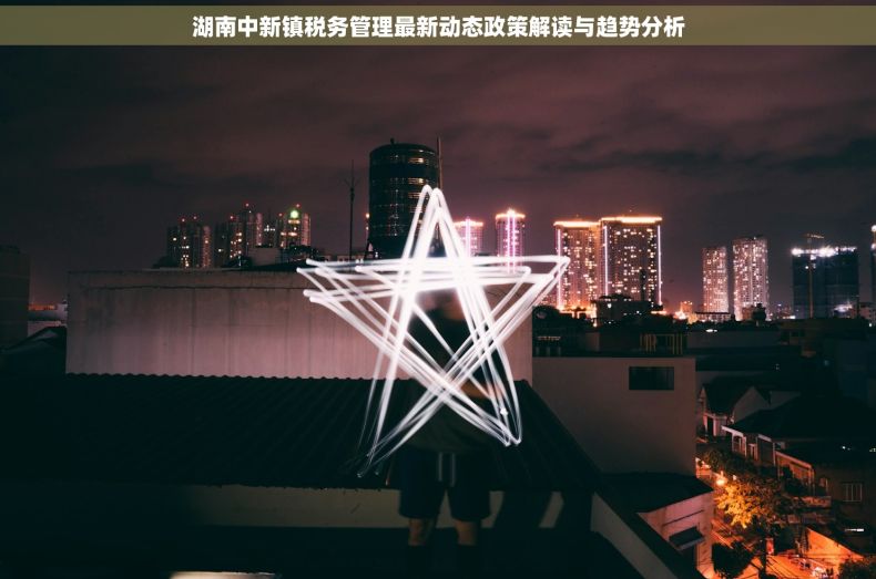 湖南中新镇税务管理最新动态政策解读与趋势分析
