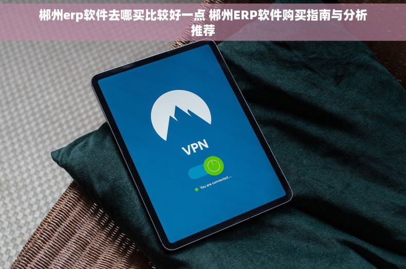 郴州erp软件去哪买比较好一点 郴州ERP软件购买指南与分析推荐