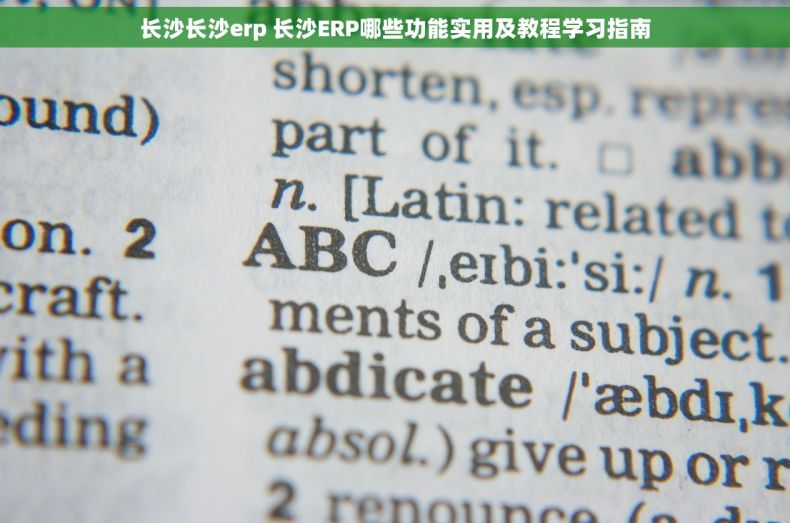 长沙长沙erp 长沙ERP哪些功能实用及教程学习指南