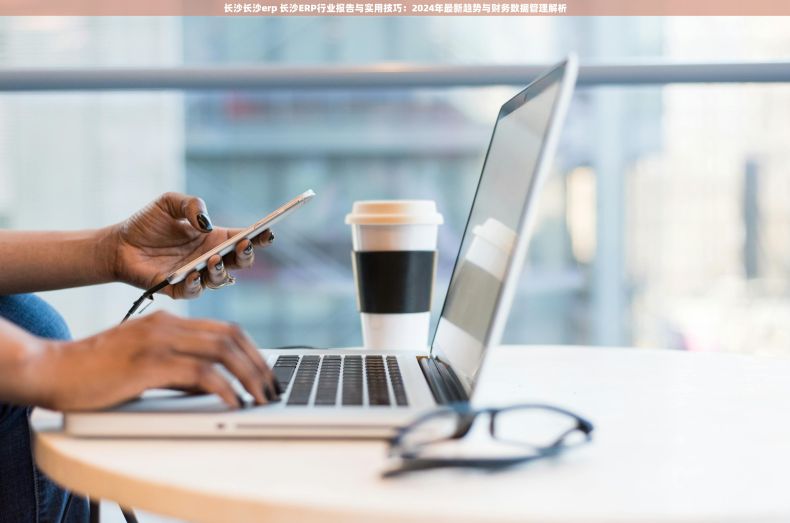长沙长沙erp 长沙ERP行业报告与实用技巧:2024年最新趋势与财务数据管理解析 长沙长沙erp 长沙ERP行业报告与实用技巧:2024年最新趋势与财务数据管理解析