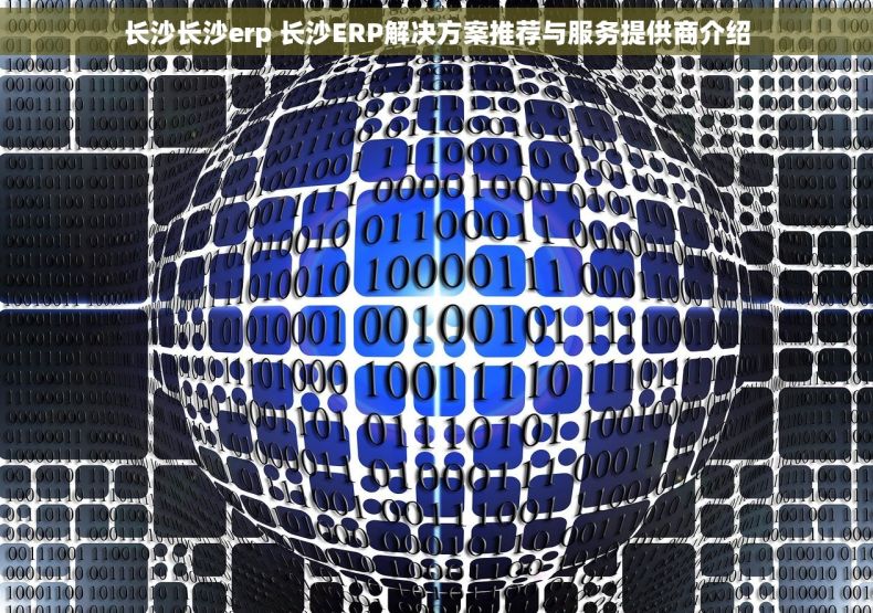长沙长沙erp 长沙ERP解决方案推荐与服务提供商介绍
