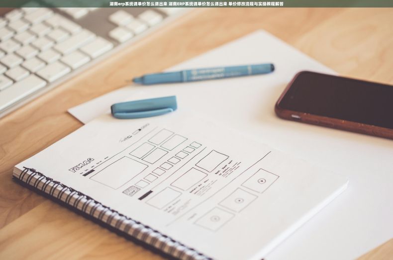 湖南erp系统调单价怎么调出来 湖南ERP系统调单价怎么调出来 单价修改流程与实操教程解答 湖南erp系统调单价怎么调出来 湖南ERP系统调单价怎么调出来 单价修改流程与实操教程解答