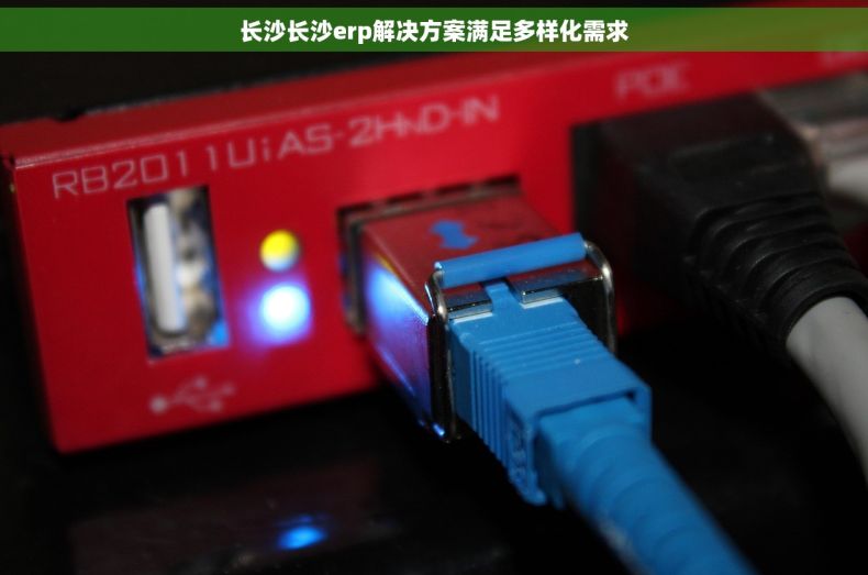 长沙长沙erp解决方案满足多样化需求 长沙长沙erp解决方案满足多样化需求