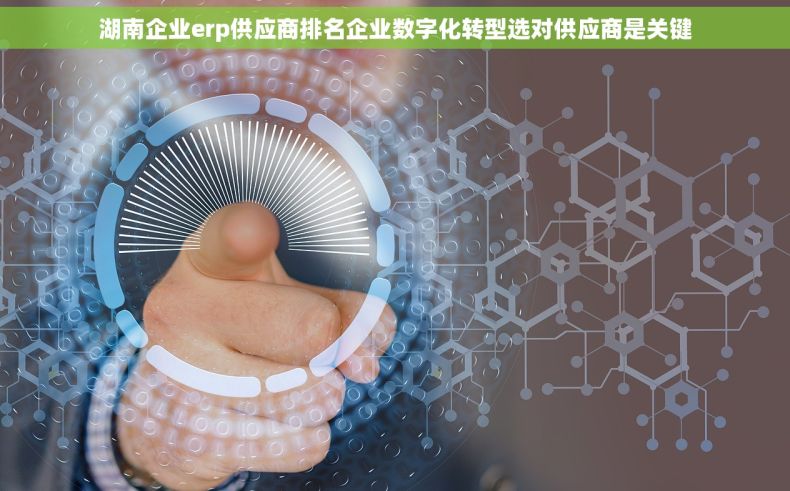 湖南企业erp供应商排名企业数字化转型选对供应商是关键 湖南企业erp供应商排名企业数字化转型选对供应商是关键
