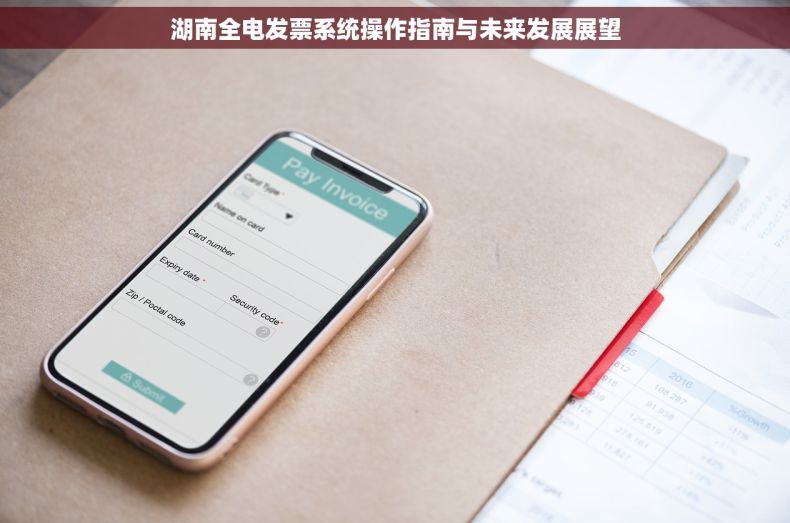 湖南全电发票系统操作指南与未来发展展望