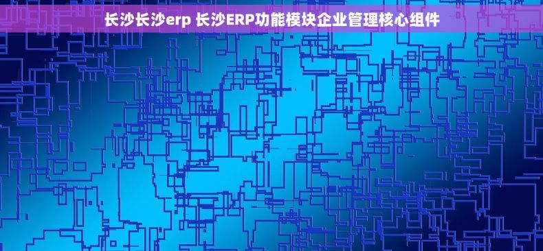 长沙长沙erp 长沙ERP功能模块企业管理核心组件 长沙长沙erp 长沙ERP功能模块企业管理核心组件