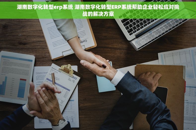 湖南数字化转型erp系统 湖南数字化转型ERP系统帮助企业轻松应对挑战的解决方案