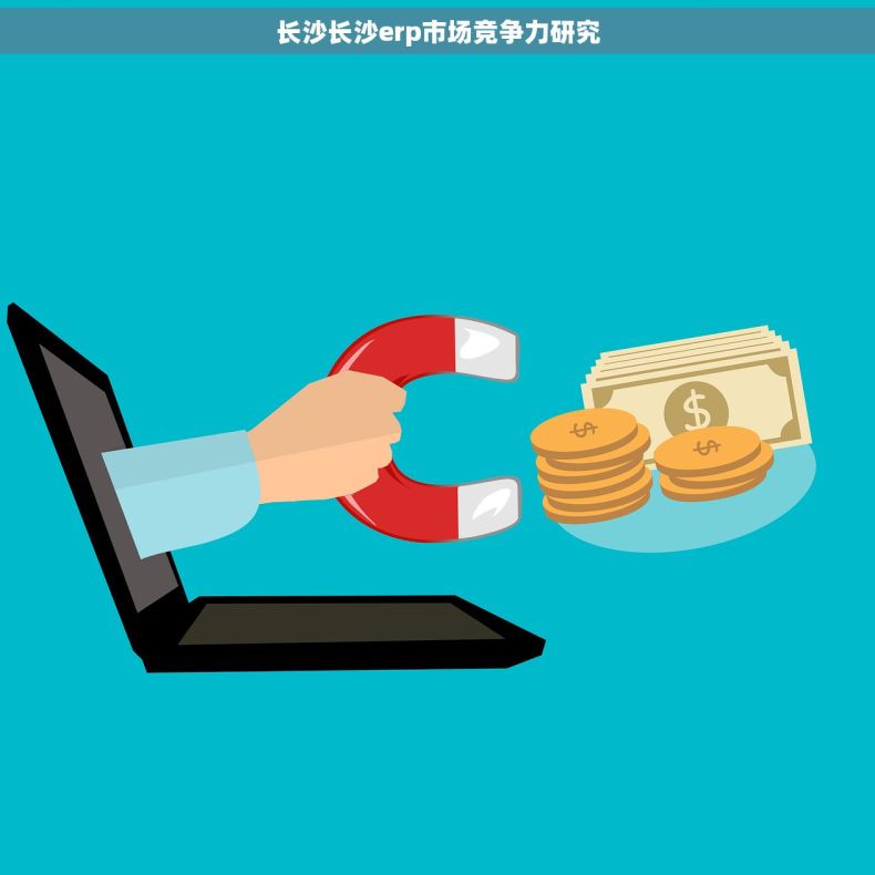 长沙长沙erp市场竞争力研究