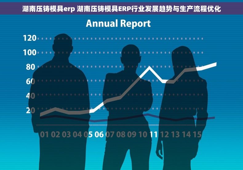 湖南压铸模具erp 湖南压铸模具ERP行业发展趋势与生产流程优化