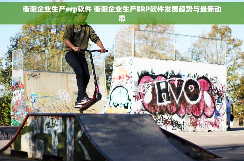 衡阳企业生产erp软件 衡阳企业生产ERP软件发展趋势与最新动态