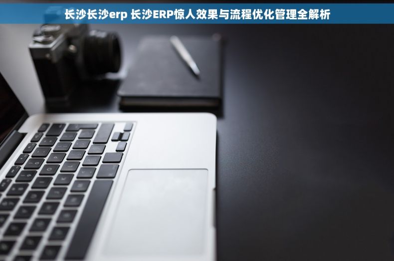 长沙长沙erp 长沙ERP惊人效果与流程优化管理全解析