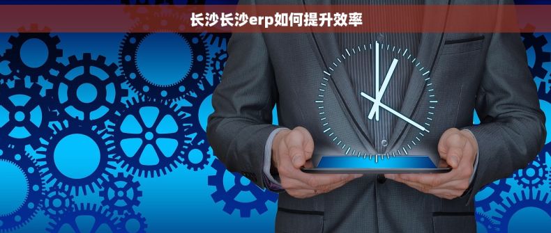 长沙长沙erp如何提升效率 长沙长沙erp如何提升效率