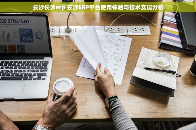 长沙长沙erp 长沙ERP平台使用体验与技术实现分析