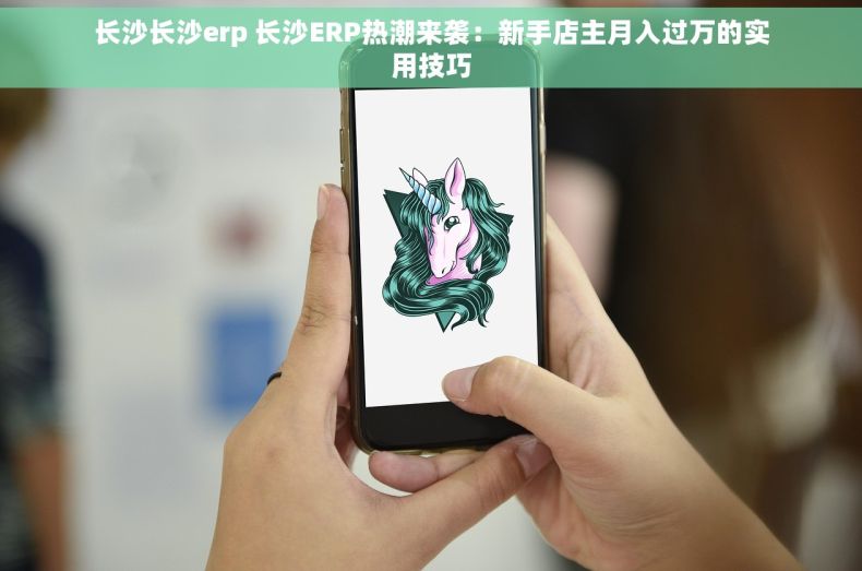 长沙长沙erp 长沙ERP热潮来袭：新手店主月入过万的实用技巧