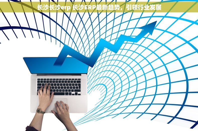 长沙长沙erp 长沙ERP最新趋势，引领行业发展