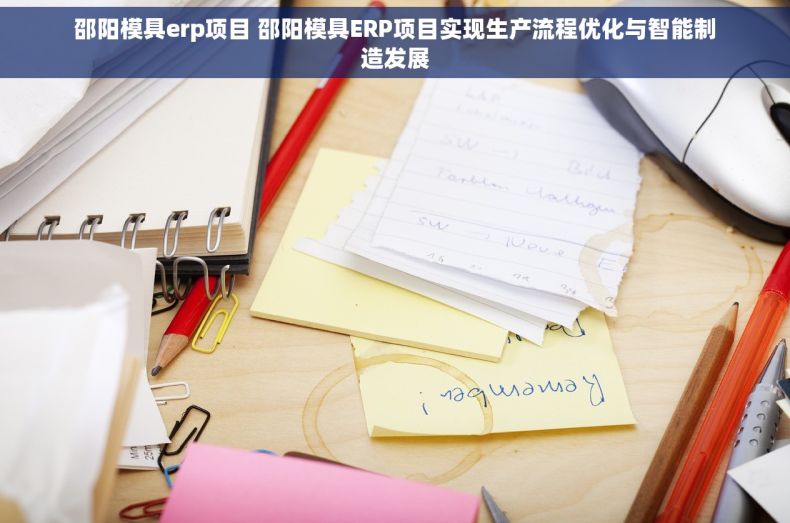 邵阳模具erp项目 邵阳模具ERP项目实现生产流程优化与智能制造发展