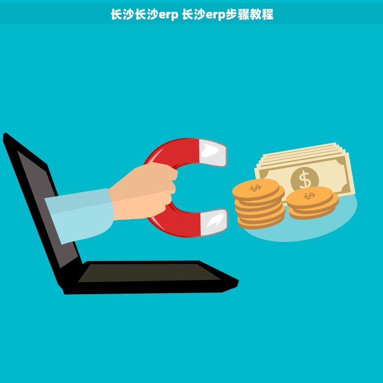 长沙长沙erp 长沙erp步骤教程