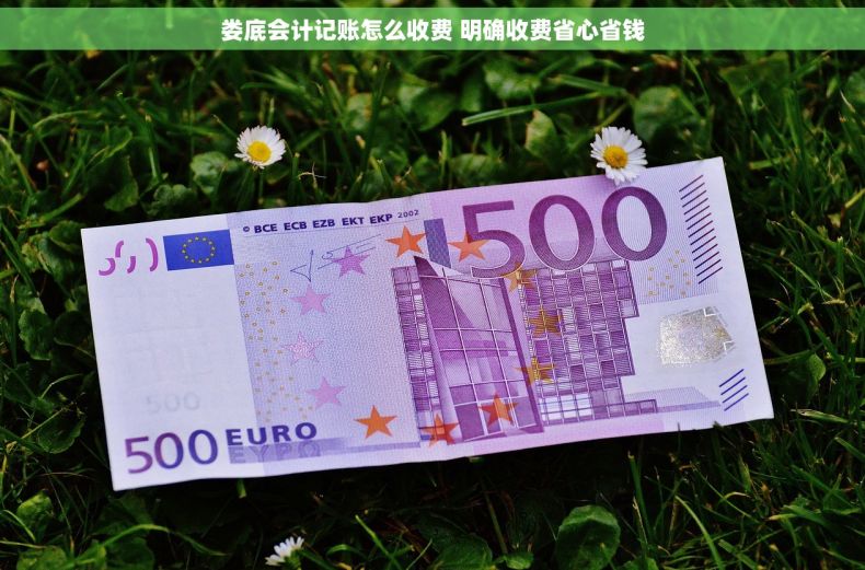 娄底会计记账怎么收费 明确收费省心省钱