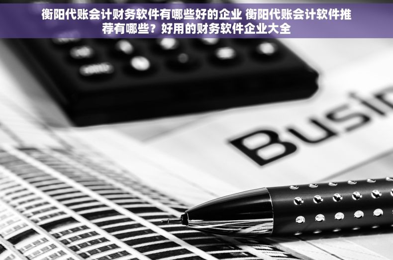 衡阳代账会计财务软件有哪些好的企业 衡阳代账会计软件推荐有哪些？好用的财务软件企业大全