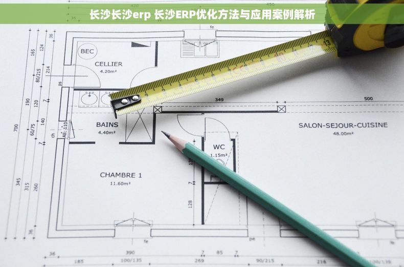 长沙长沙erp 长沙ERP优化方法与应用案例解析 长沙长沙erp 长沙ERP优化方法与应用案例解析