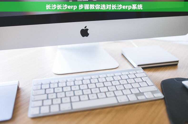 长沙长沙erp 步骤教你选对长沙erp系统 长沙长沙erp 步骤教你选对长沙erp系统