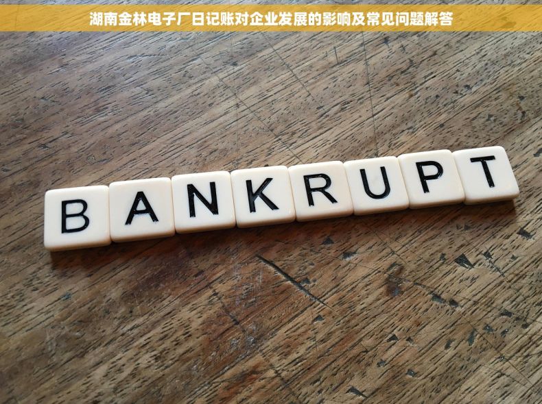 湖南金林电子厂日记账对企业发展的影响及常见问题解答