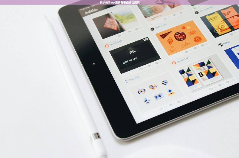长沙长沙erp系统有哪些成功案例 长沙长沙erp系统有哪些成功案例