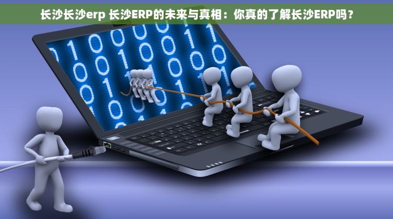 长沙长沙erp 长沙ERP的未来与真相：你真的了解长沙ERP吗？