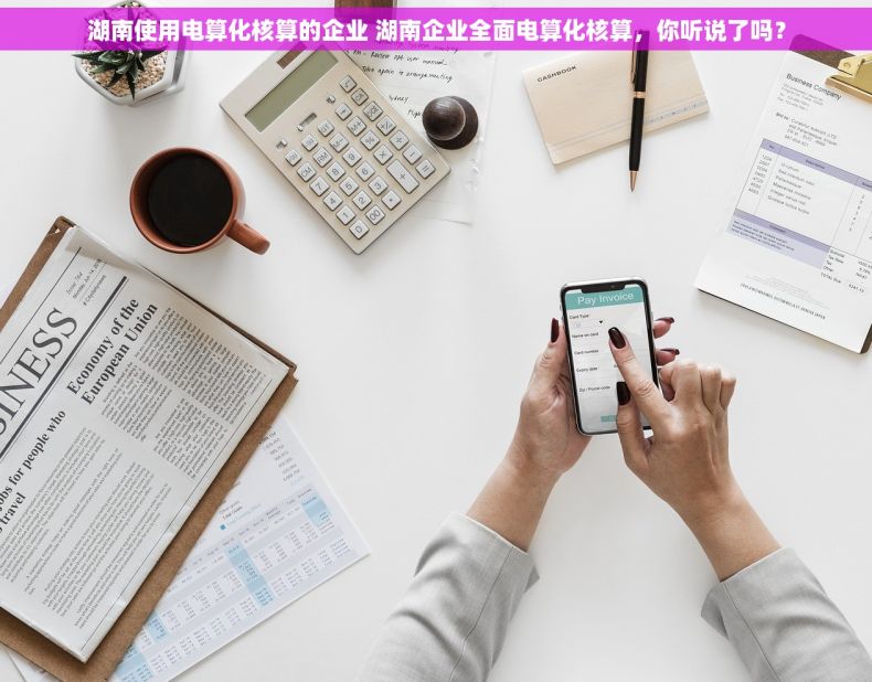 湖南使用电算化核算的企业 湖南企业全面电算化核算,你听说了吗? 湖南使用电算化核算的企业 湖南企业全面电算化核算,你听说了吗?