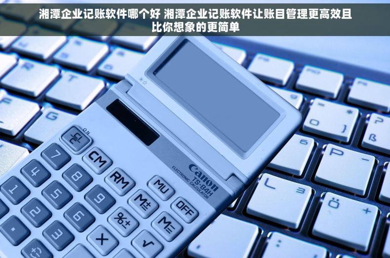 湘潭企业记账软件哪个好 湘潭企业记账软件让账目管理更高效且比你想象的更简单
