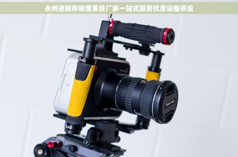 永州进销存称重系统厂家一站式服务优质设备供应 永州进销存称重系统厂家一站式服务优质设备供应