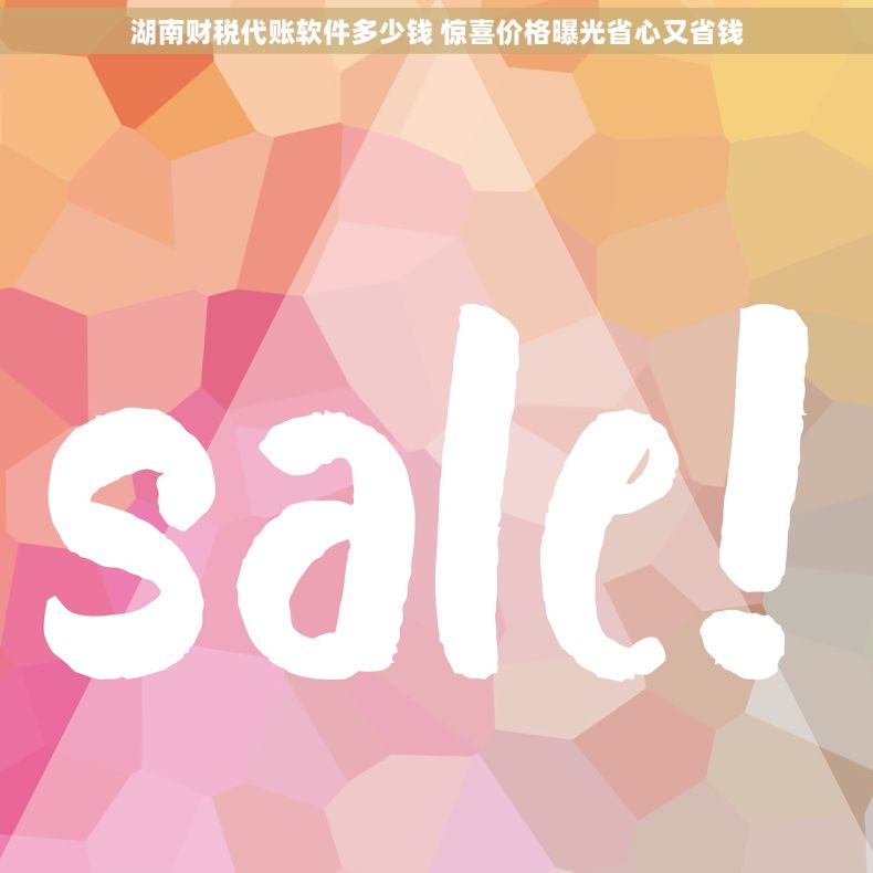 湖南财税代账软件多少钱 惊喜价格曝光省心又省钱 湖南财税代账软件多少钱 惊喜价格曝光省心又省钱