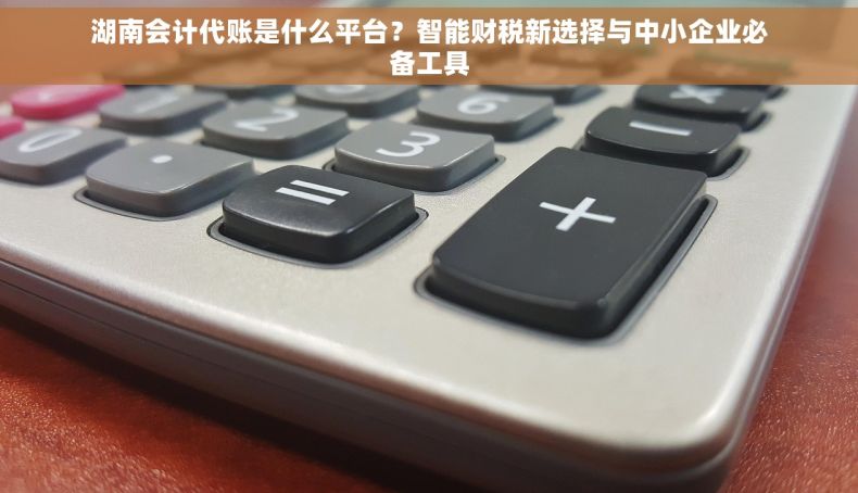湖南会计代账是什么平台？智能财税新选择与中小企业必备工具